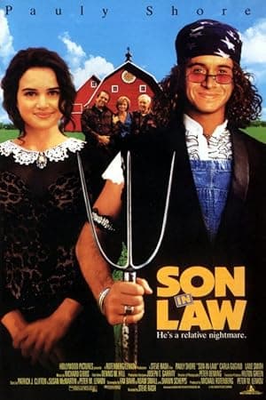 Son in Law poster
