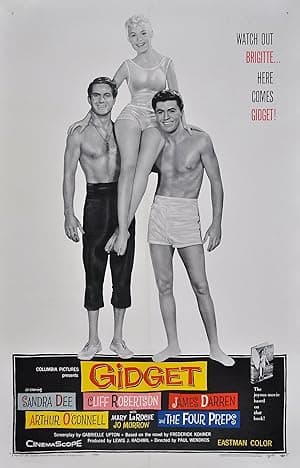 Gidget movie poster