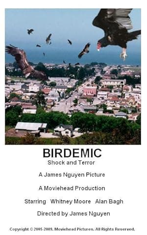 Birdemic: Shock and Terror movie poster